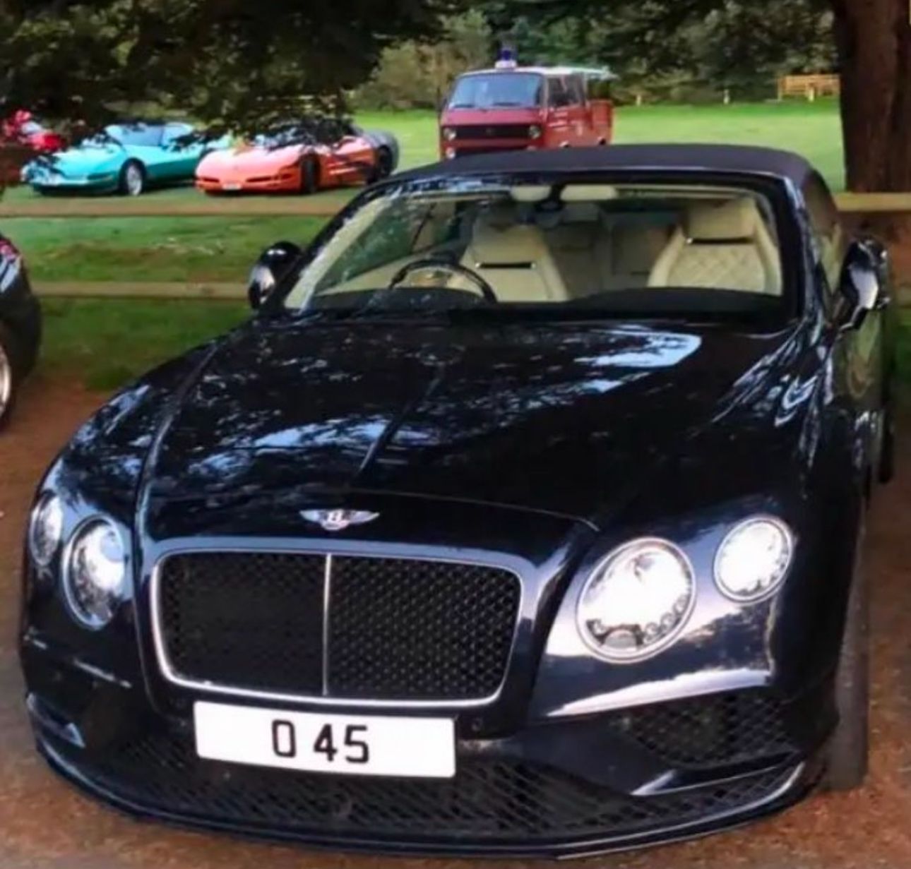 Number Plate All Number Look O 45